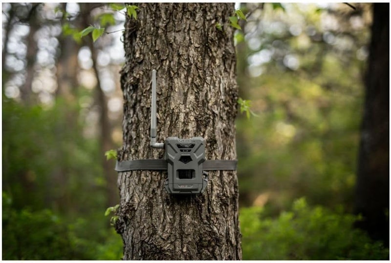 Spypoint Flex-M Twin Pack Cellular Trail Cameras - Best Hunting Accessories, No WiFi Needed, GPS, Night Vision, Dual-Sim LTE, IP65 Water-Resistant Game Camera, 28MP Photos, 720p Videos + Sound (2) - Image 2